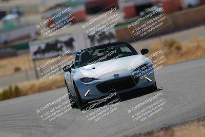 media/Mar-08-2025-Extreme Speed (Sat) [[4abb97269e]]/Blue/Turns 2  and  4 (Session 2)/